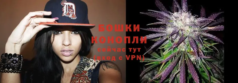 Конопля THC 21%  купить  сайты  Фокино 